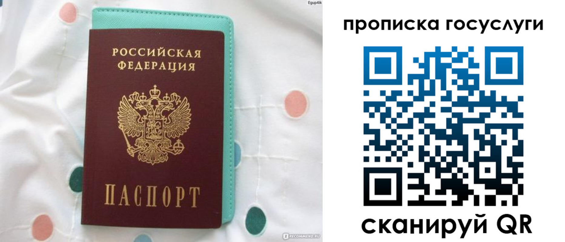 прописка поиск в Новочебоксарске